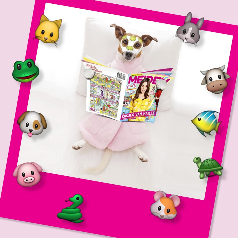 Stuur jouw foto in! ow.ly/66ur30etuP8