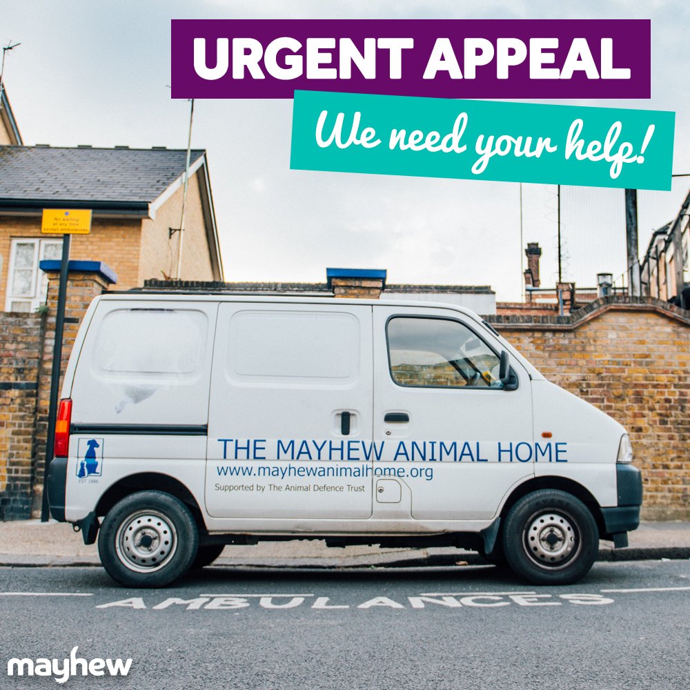 Our animal ambulance was stolen! We urgently need a new one to help us #rescue animals in need-please can you help?
 mayh.ws/AmbulanceAppeal
