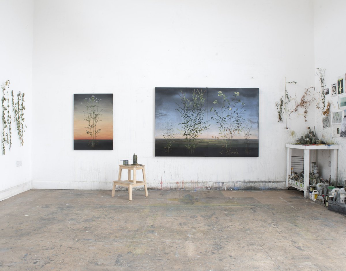 WaterhouseDodd's tweet photo. @CanningMichael Opens next month at Waterhouse &amp; Dodd 26 September - 20 October 20 2017. Mesmerizing new paintings in #mattermotionminutes https://t.co/2oodpmo2f5