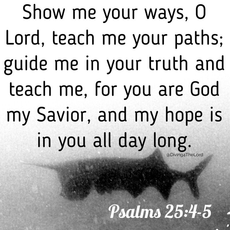 Diving4TheLord's tweet photo. #Psalms 25:4-5 #VerseOfTheDay #ReadYourBible #DailyScripture #OpenYourBible #BibleVerse #WalkWithChristDaily #BibleStudy #MyHope #Jesus https://t.co/DXlVCLAOS6