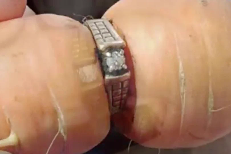 これは感動する！収穫した人参が失くしたはずの婚約指輪をはめていた！
