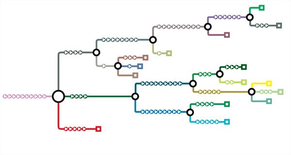 KrysRinaman's tweet photo. These Maps Reveal the Hidden Structures of 'Choose Your Own Adventure' Books https://t.co/YouPtJDaKj https://t.co/yAadFoIyii
