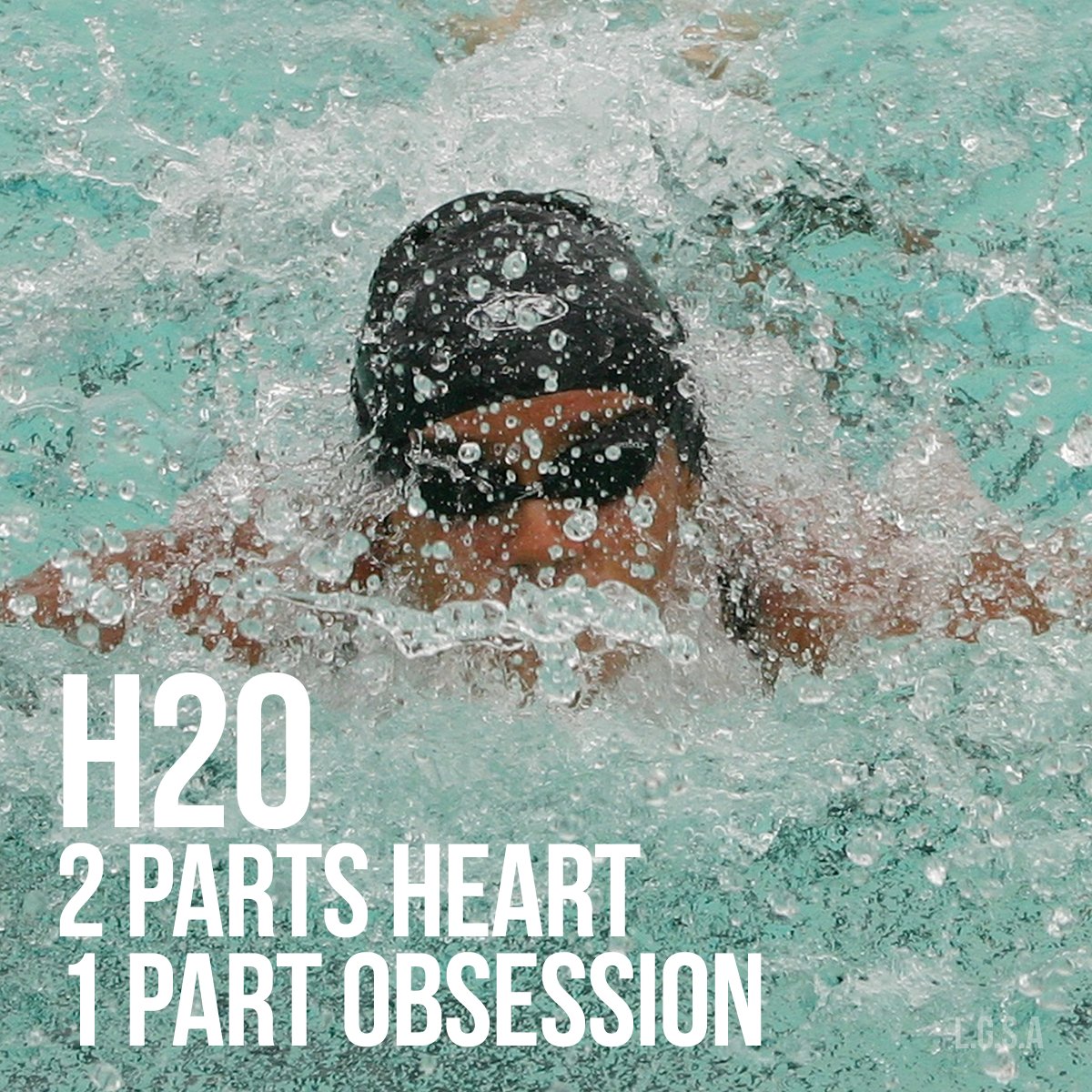 Lake Geneva Swimming Association tweet media