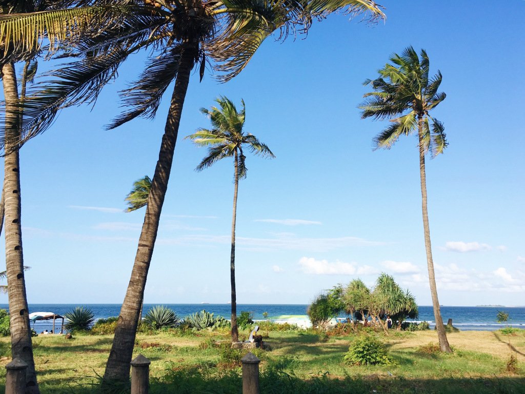 IsmatK's tweet photo. Everything to know before travelling to Tanzania (Dar es Salaam). https://t.co/G8D44QqcDU https://t.co/lNCIjY7tJD