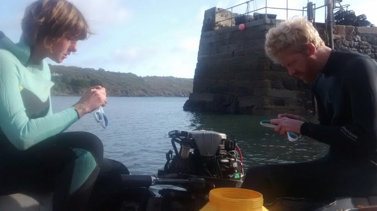 CornishSeaweed's tweet photo. All dressed up & nowhere to go. #brokenengine #noharvesttoday https://t.co/8SplgIYdE8
