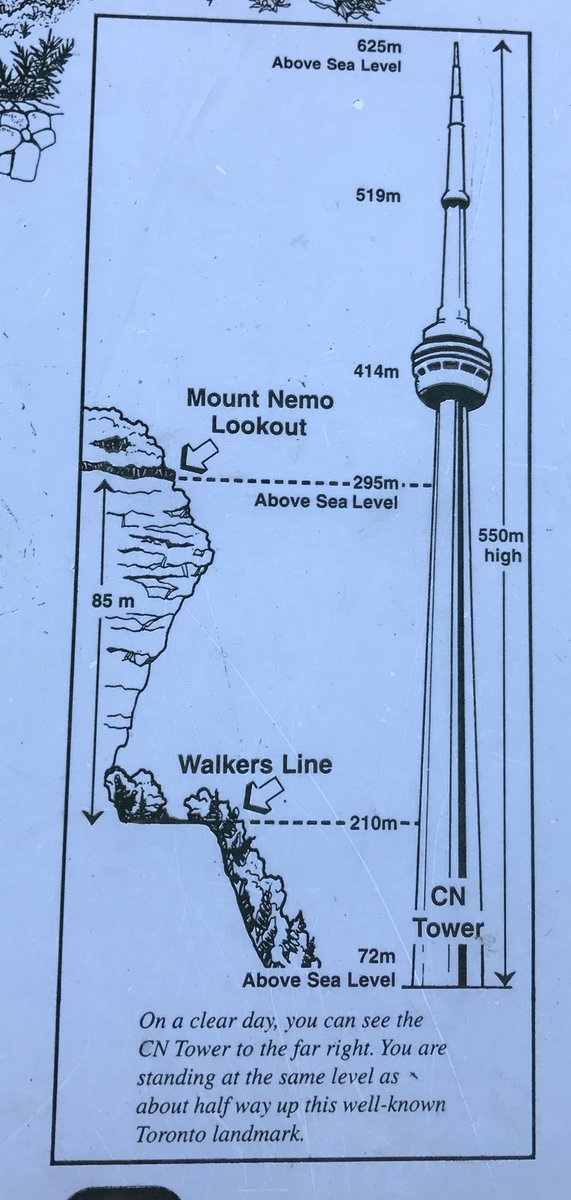 MrsLuchies's tweet photo. Explore the math that surrounds us everyday.  Here's the view from 295m above sea level - approx 1/2 way up the CN tower!  #summermathfun https://t.co/rexgegh958