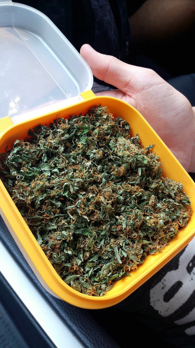 K4dexo's tweet photo. Wieder mal etwas weed😍😂💰 https://t.co/wLA6el3Blu