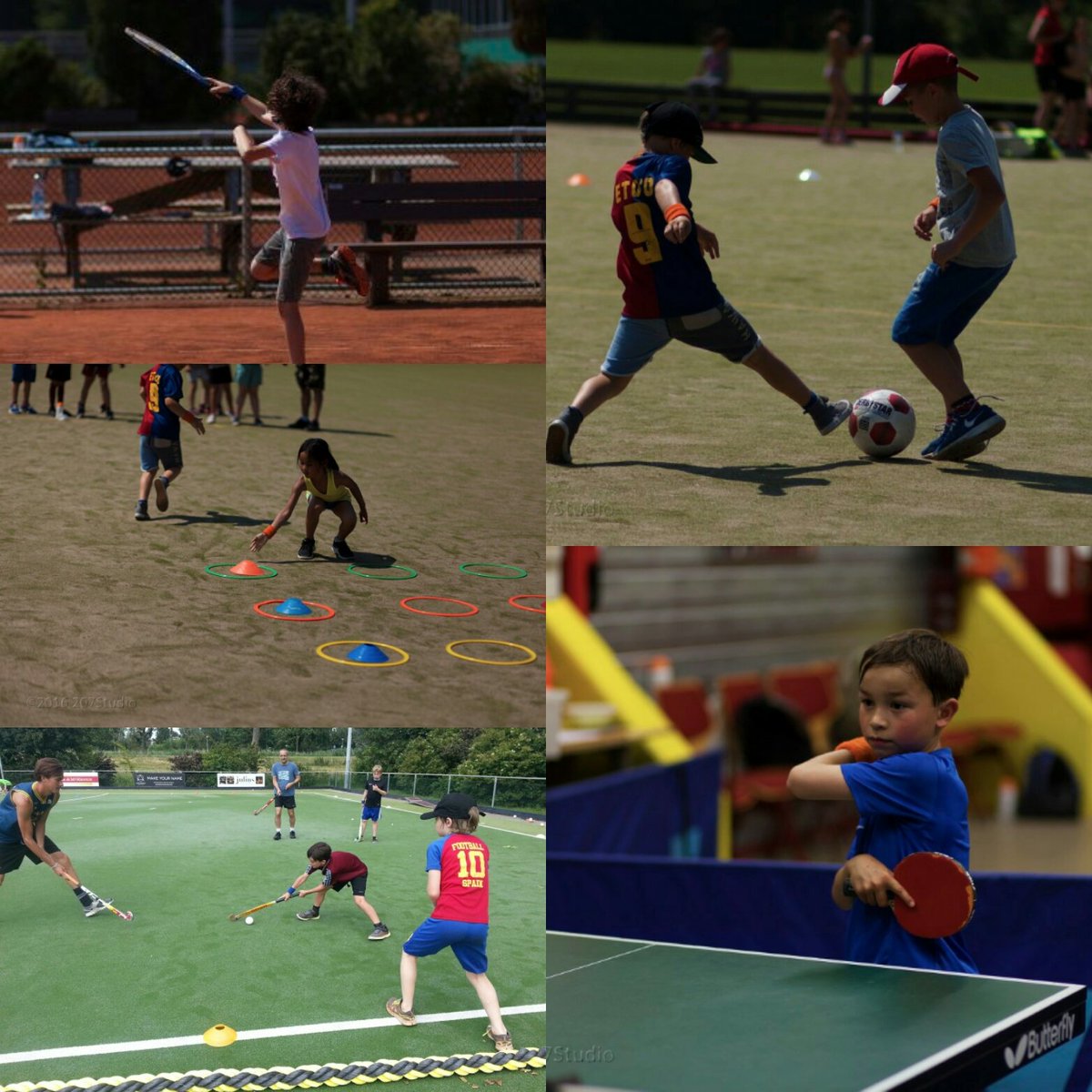 Dynamo Sport Zuid tweet media