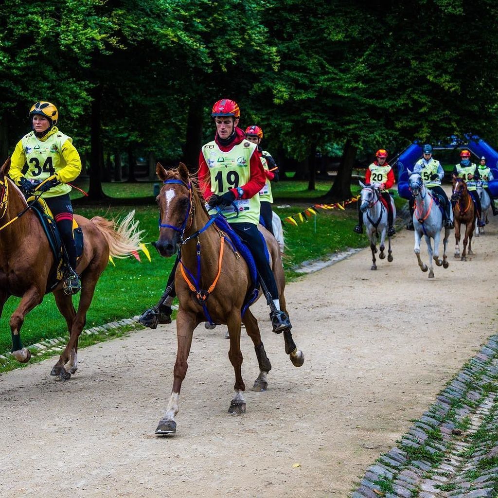 RFHE_Raid's tweet photo. Llegada de la cabeza en la tercera fase con todo el #TeamESP en el grupo #rfhe_raid #endurance https://t.co/h1TfKSZ6GL https://t.co/gaEj8bmMb8