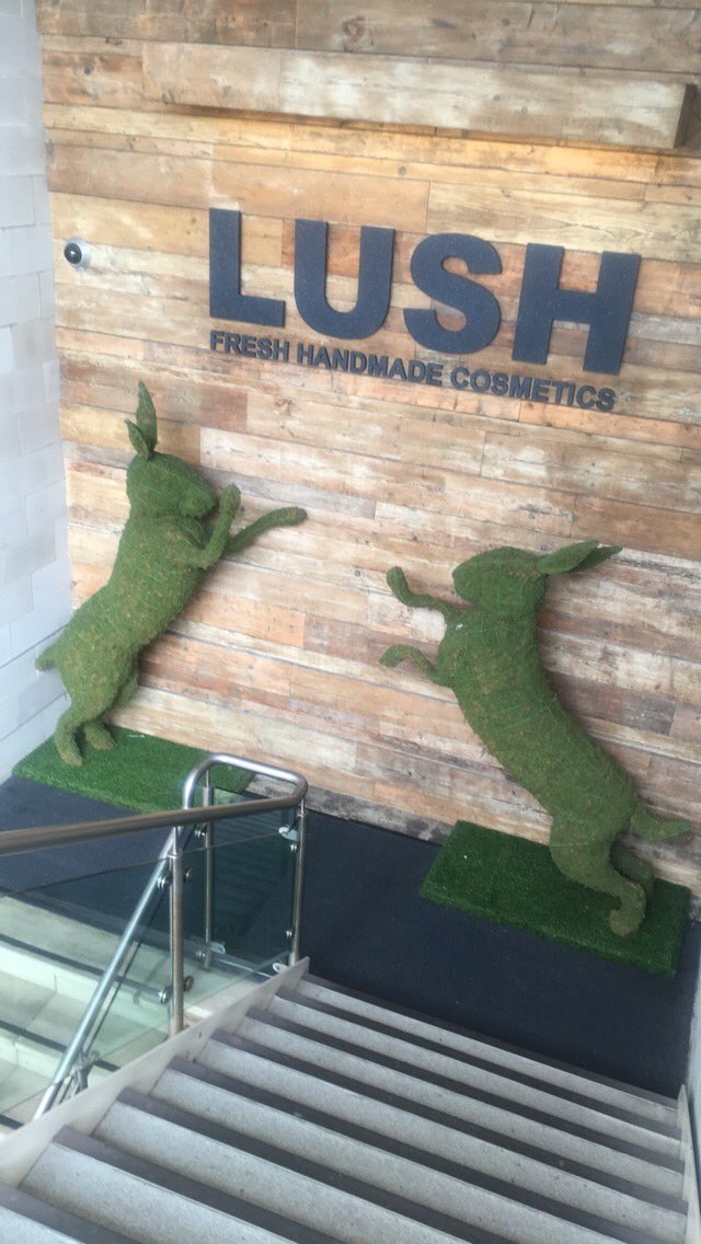 LibbiChapman's tweet photo. Went to the first ever @LushLtd shop and also Lush HQ and the lovely lady gave me a free bathbomb https://t.co/MyJXL3VLBl