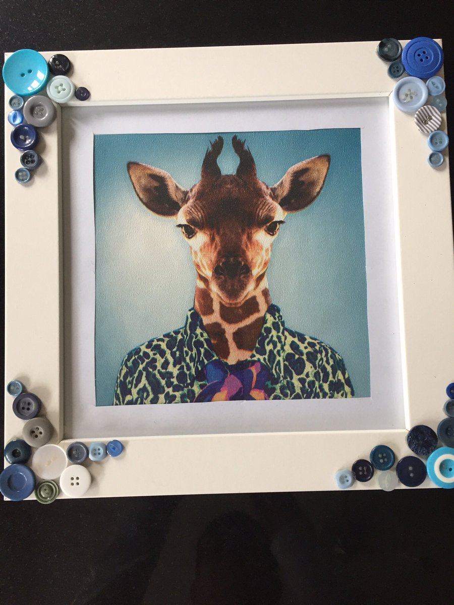 AllFixedUp's tweet photo. Gerald the giraffe and Alice need a new home. Available from our online shop https://t.co/oUgsi35HhC #pleaseretweet https://t.co/bzXb055Le2
