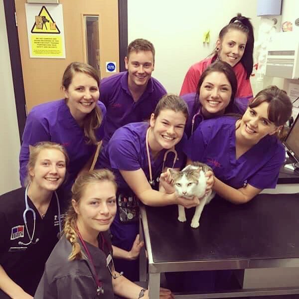 Annabellemears's tweet photo. A hashtag that's close to my heart - my appearance has nothing to do with my ability to be a vet #stayglam #looklikeawoman #LookLikeAVet https://t.co/xV1sHvI9pm