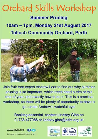 Catch a summer fruit tree pruning workshop in Perth this Monday, organised by@TayLandscape @ Tulloch Community Orchard