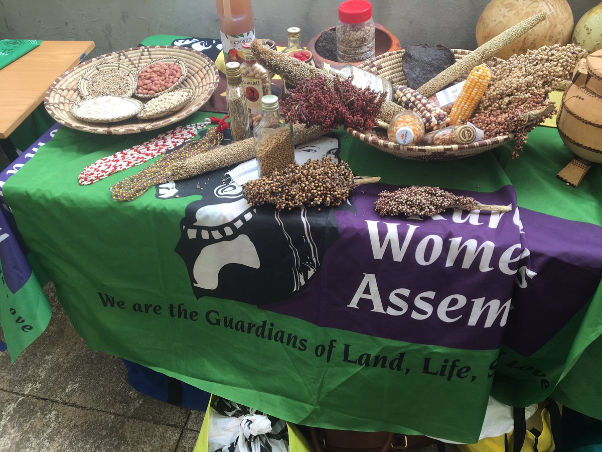 ZakeyoMG's tweet photo. There is nothing quite like the #SADCpeoplessummit! #OneWomanOneHectare #CitizenEngagement https://t.co/zYvkzrRqRp