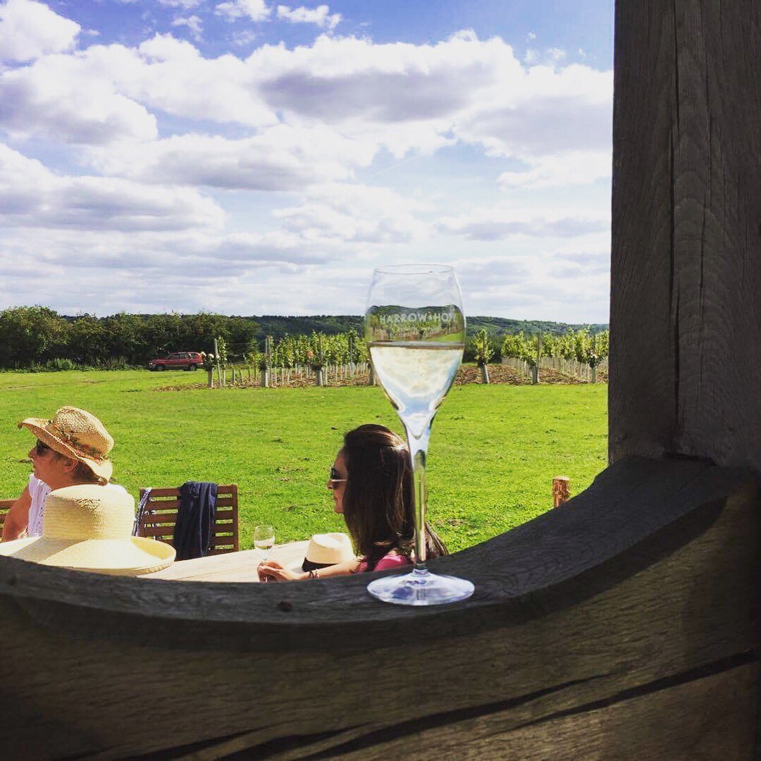 thebigcanvaspro's tweet photo. Piccies from August #tastebudsAndFingertips at #harrowAndHope aka #wineGenius https://t.co/EbZNofizhn https://t.co/5lOLboaJ9h