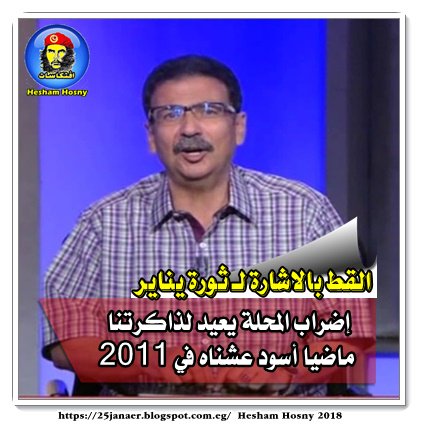 القط بالاشارة لـ ثورة يناير إضراب المحلة يعيد لذاكرتنا ماضيا أسود عشناه في 2011