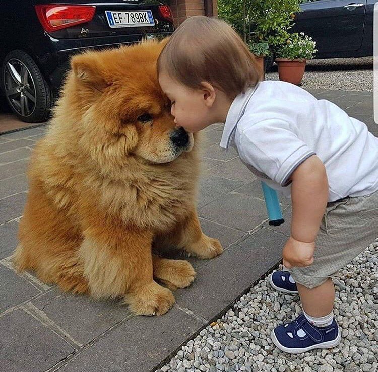 cutsdog's tweet photo. This picture is really made me cry 😭😭 https://t.co/gLmDC11GWR