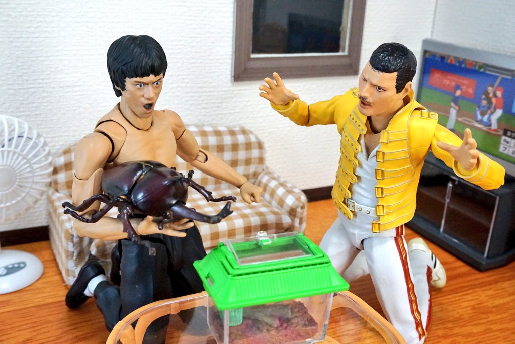 suekichiii's tweet photo. Beetle https://t.co/qgOD7r0iCf