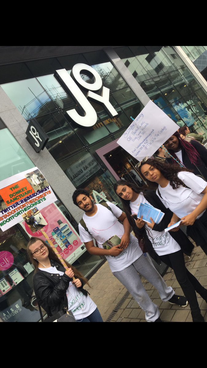 Reiss8Donkey's tweet photo. Having a great campaign day in Leeds for @DonkeysLeeds @challengeyorks https://t.co/PTMRyabZp2