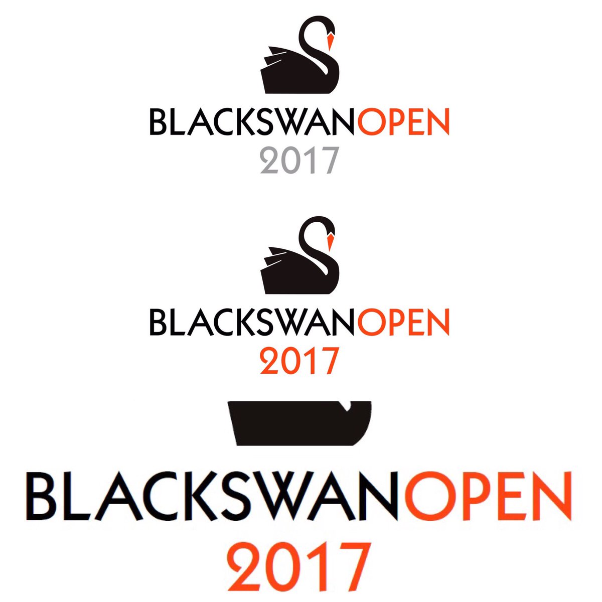 Black Swan Arts Open tweet media