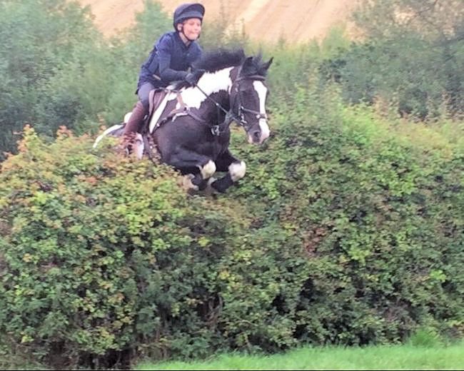 Horsequest.co.uk tweet media