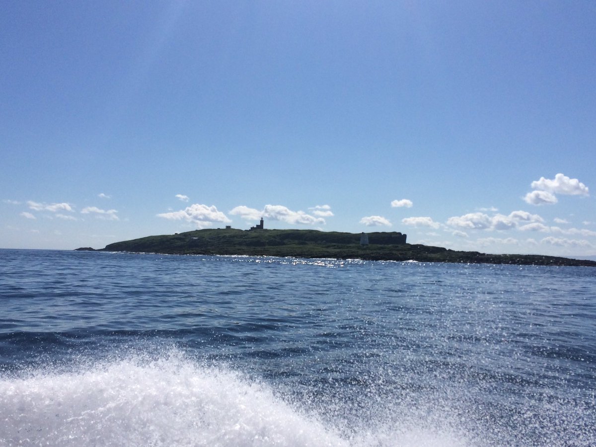 Stunning day and a pleasure to be out on the Isle of May