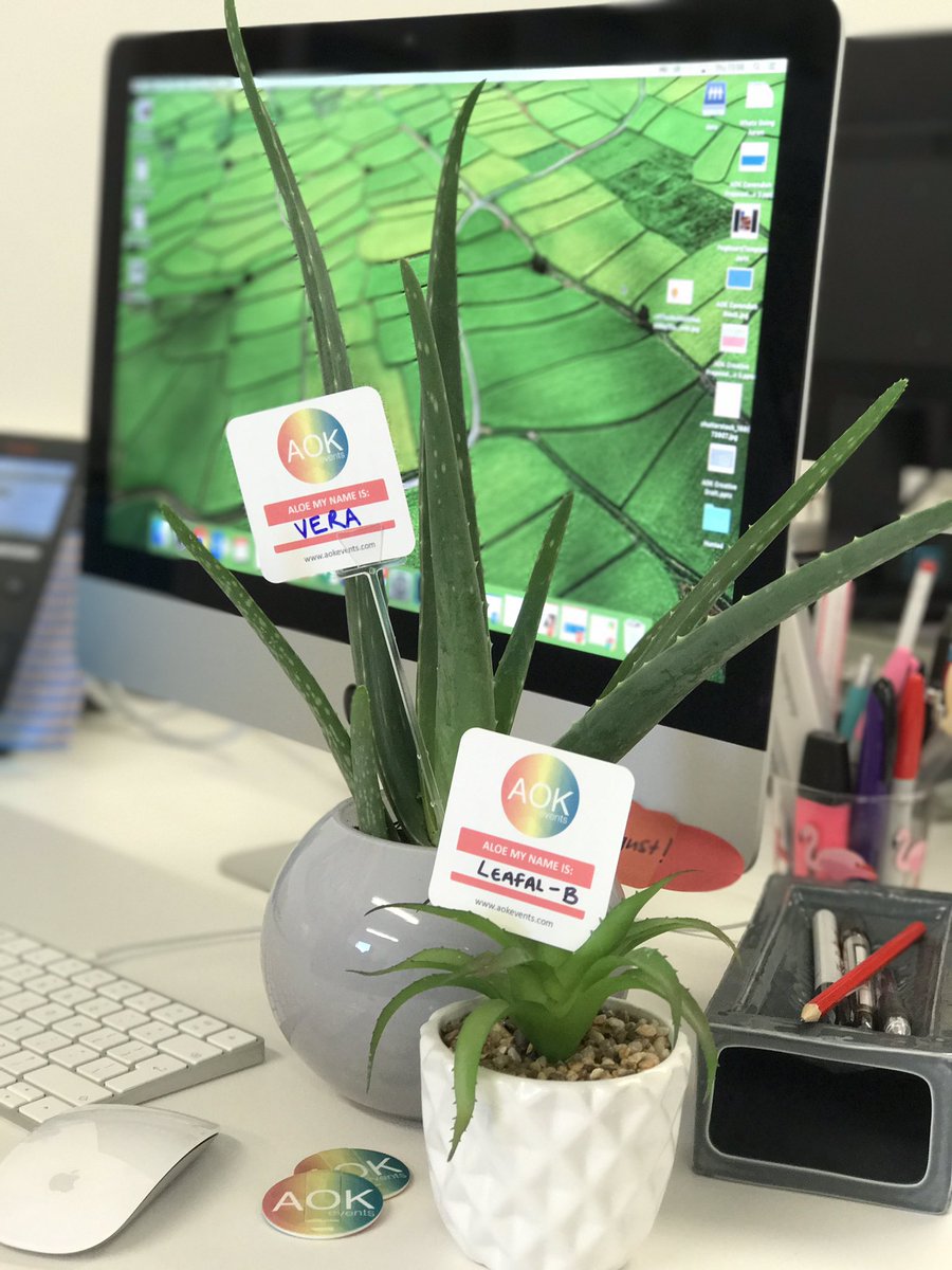 AOKevents's tweet photo. Aloe! We are leafing plants as gifts for our friends in London this week! What did you name yours? #HelloAloe π΅#eventprofsuk https://t.co/GNdnB3gG9E