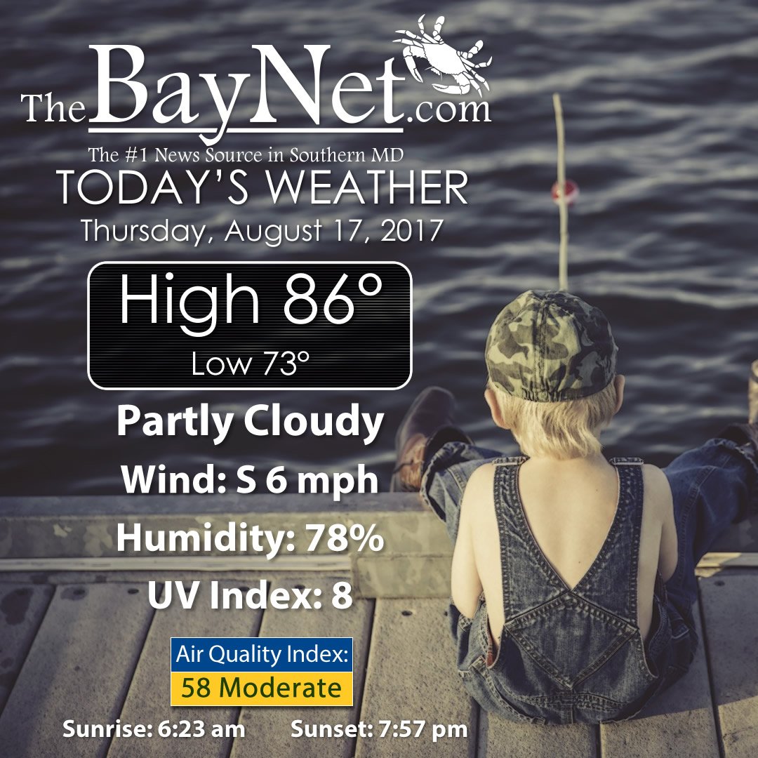 thebaynetcom tweet picture