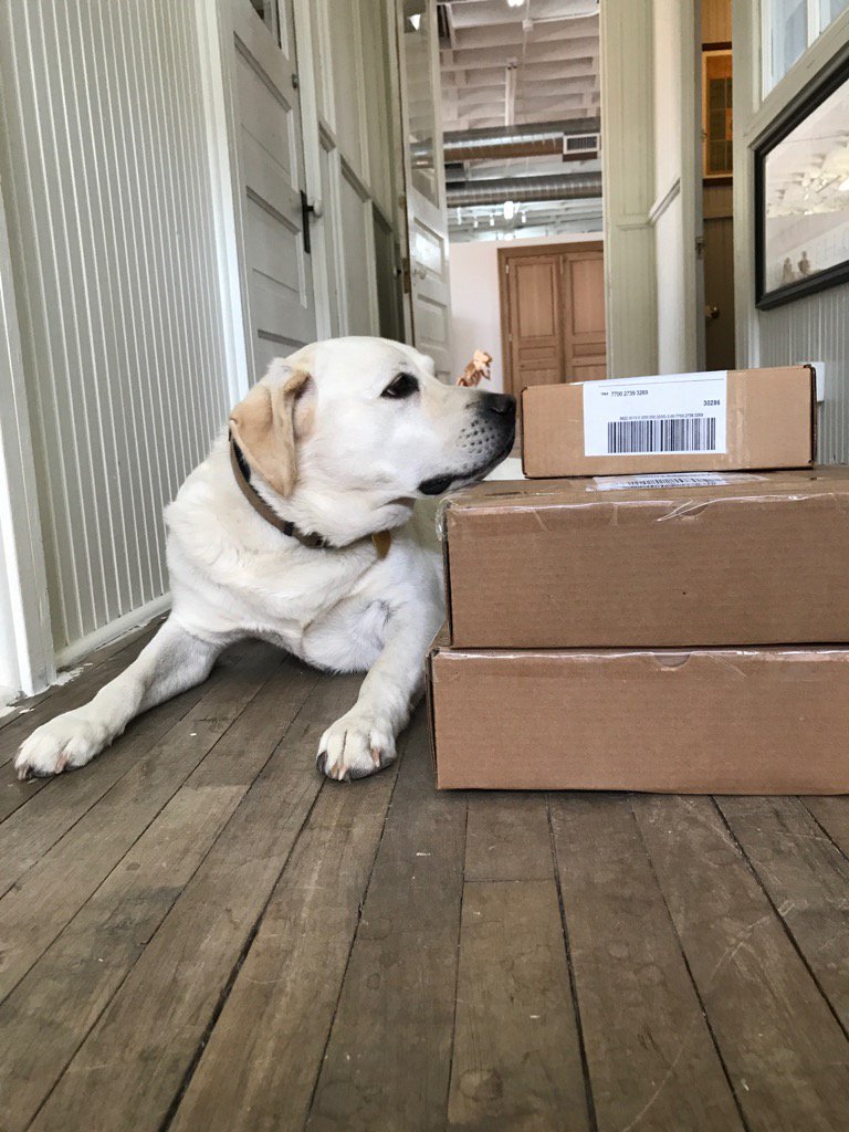 Hull Historical tweet media