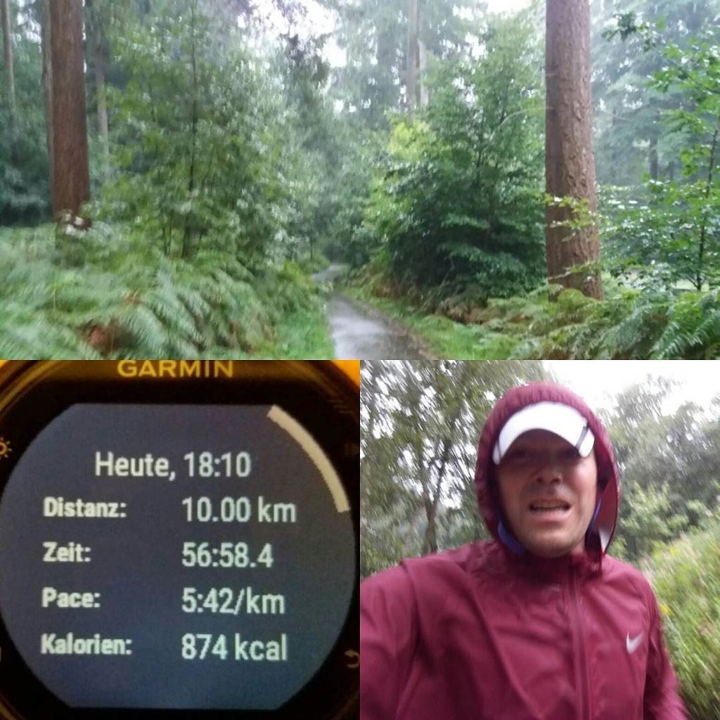 Lars_Mah's tweet photo. Regen. Wald.
Komplett durchnässt, aber Spaß gehabt.
#Running 🏃 #10k #Laufen 🎽 #Regen #Training #ComeBackStronger #GermanRunners 🇩🇪 #Halfmar… https://t.co/N98AoDz6F0