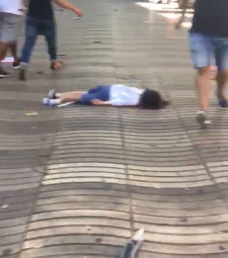 Cuando Aylan murió la foto dio la vuelta al mundo y todo el mundo la difundía ¿Ahora con esta niña no? HIPÓCRITAS
#TerroristasWelcome