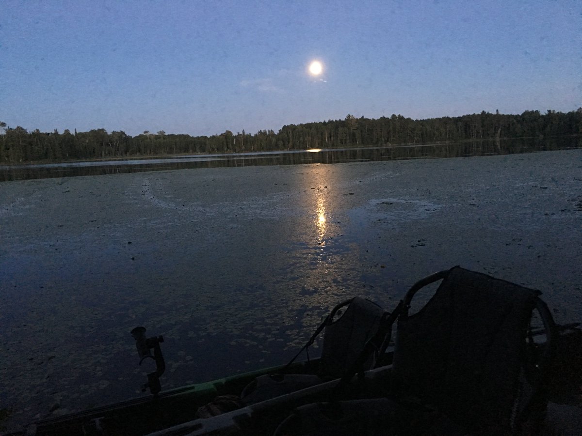 PaddleHoppers's tweet photo. All that's missing is you. https://t.co/l6DI0iO4CV