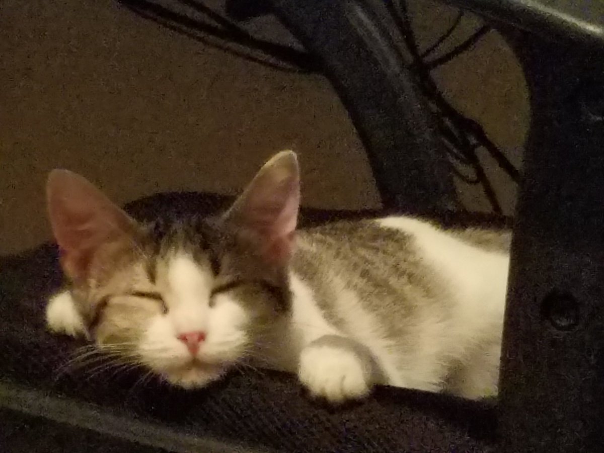 'Mera is getting comfortable. Nessie is still, appropriately, in hiding.