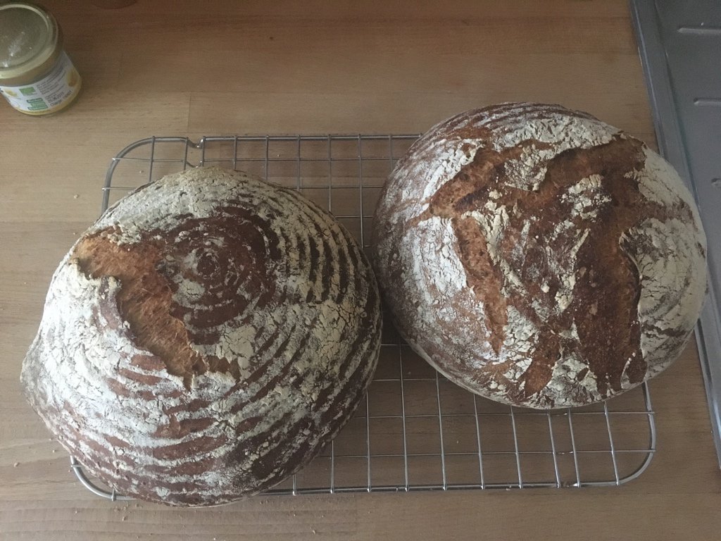mrgn_eats's tweet photo. 🍞32: Same day, 20% whole wheat, 1.2% diastatic malt. Dried onions, flax &amp; sesame seeds. 78% hydr. For lunch tomorrow https://t.co/KkeEAAW4C5