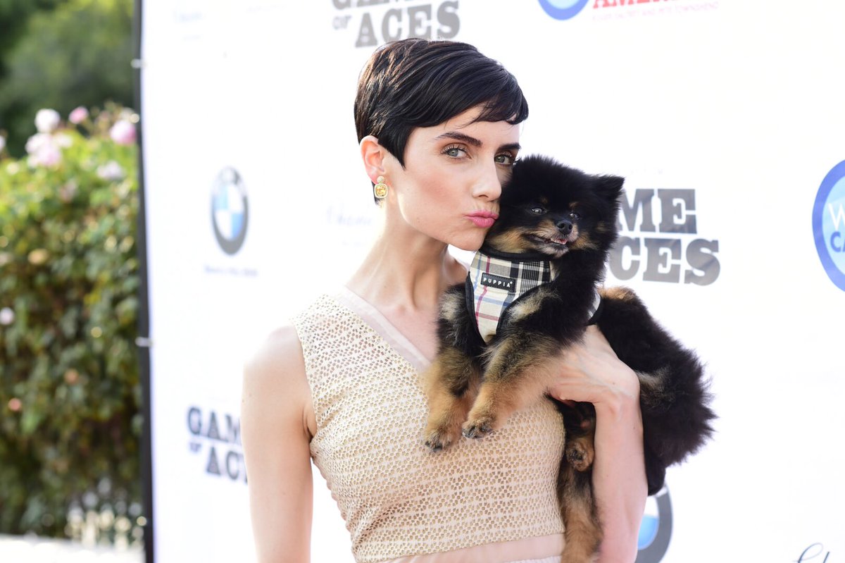 VictoriaSummer's tweet photo. Mister Bentley, my Pomeranian, loves the red carpet & enjoys raising money just as much as I do 😉 #TWVS #TeaWithVictoriaSummer https://t.co/i2zXHZ7U2B