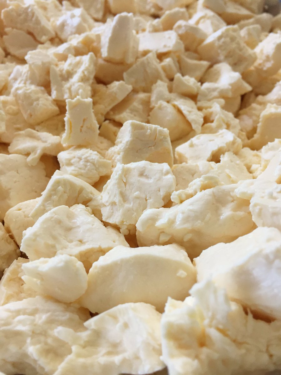 We've got fresh curds in the shop--get 'em while they last! 11-5 Thu-Sun. #pipsqueaks #squeakycheese