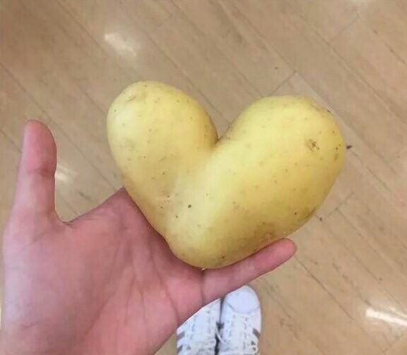 romialonsoc's tweet photo. GUYS RT FOR GOOD LUCK https://t.co/whrPqQQFEx