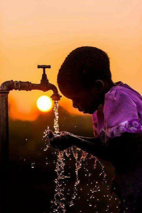 Bom dia a todos os BETAS!
Vamos seguir juntos!

#BetaQuerLab