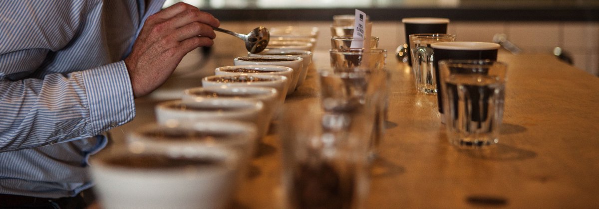 origincoffee's tweet photo. Coffee Cupping. What is exactly is it? Jesse explains all &amp; why it's such an important part of what we do at https://t.co/zbrrQAxD2y. https://t.co/lS2UE0s4Gv
