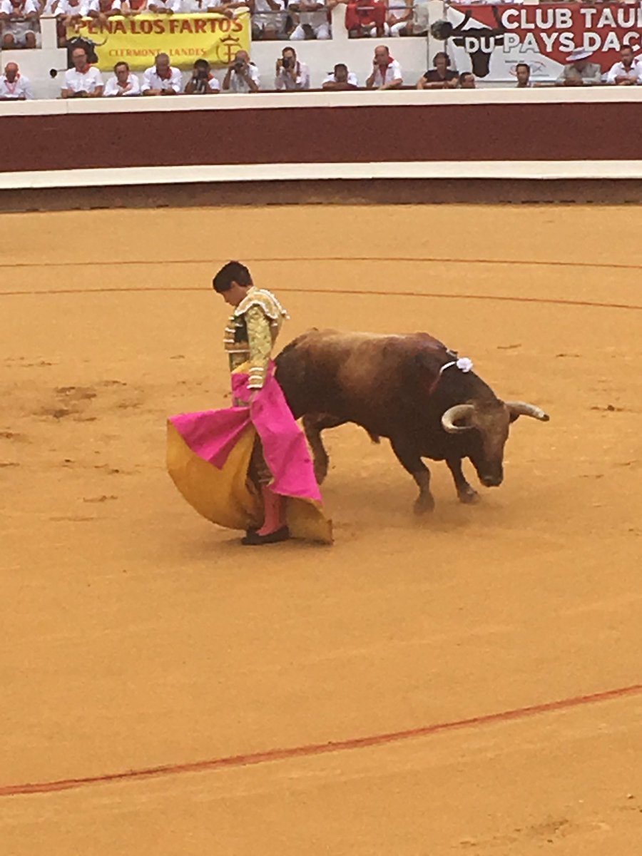 fgdubassin's tweet photo. Magnifique #dax #agur https://t.co/qP77FApxhc