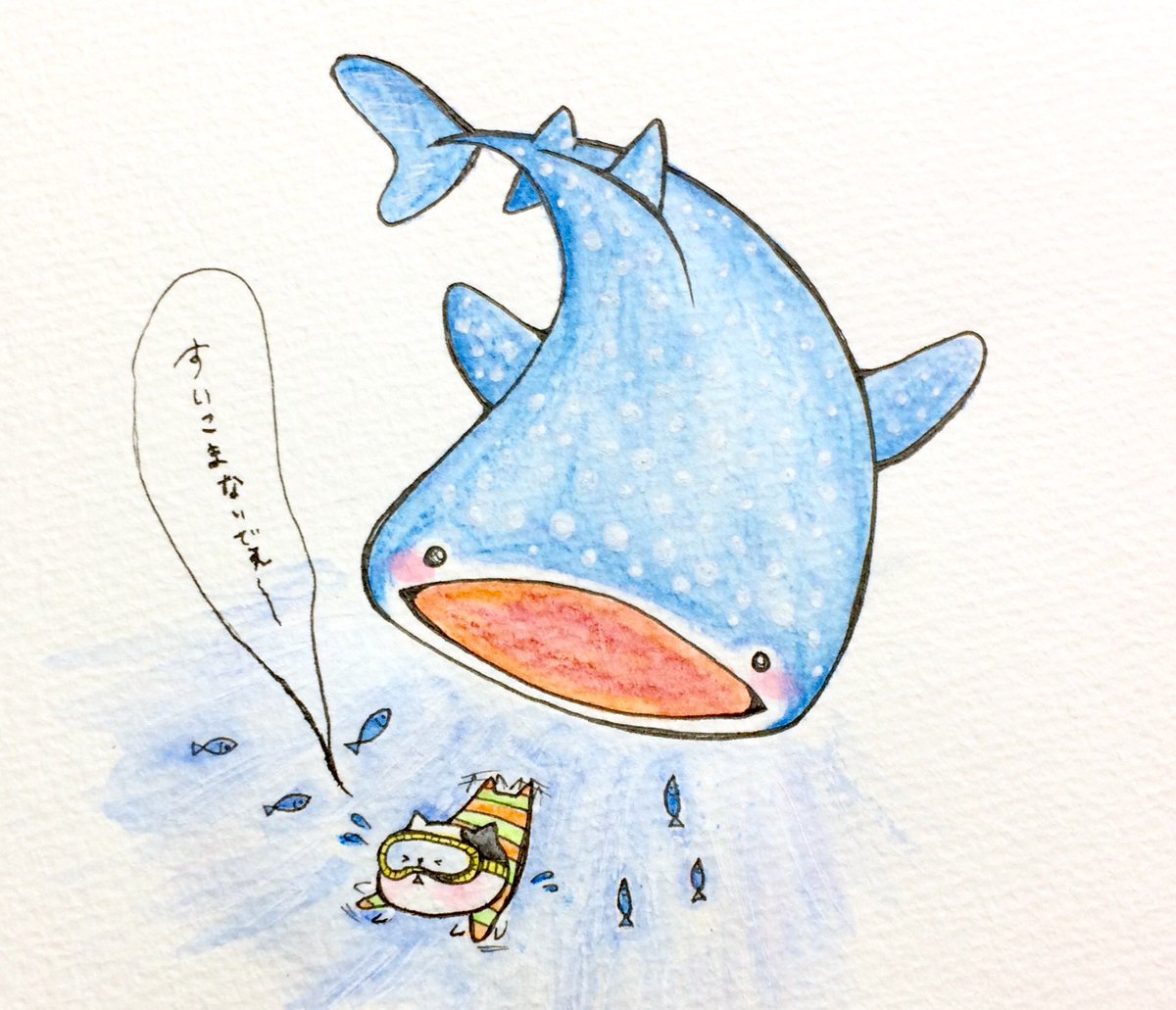 ちゅらうみ水族館 Twitter Search Twitter