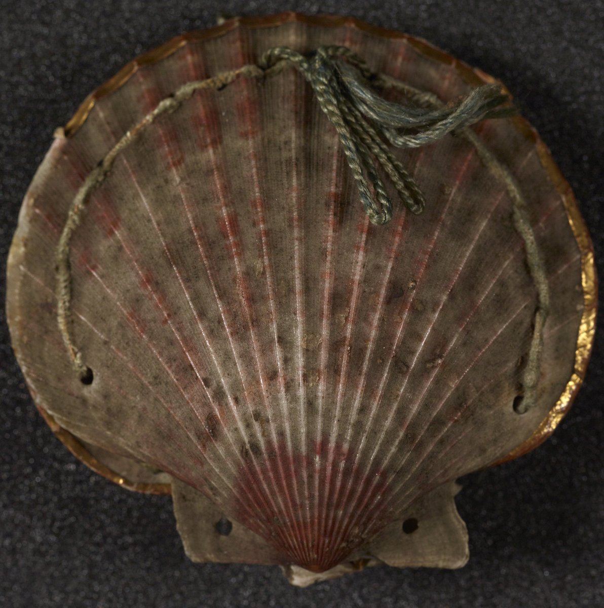 uomlib_rose's tweet photo. There's just over a week left to see our Life of Objects exhibition so try and get along to @TheJohnRylands as soon as you can! #JRLObjects https://t.co/CzvSCkOKTE