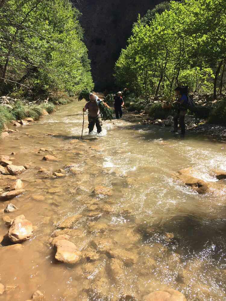 hellenicpolice's tweet photo. Παρά τις αντιξοότητες, οι αστυνομικοί της Ασφ.Πατρών περπάτησαν για ώρες&amp;απομάκρυναν τα δενδρύλλια μεγάλης φυτείας ➡https://t.co/0NEFvC9hLW https://t.co/L4gBHknOdP