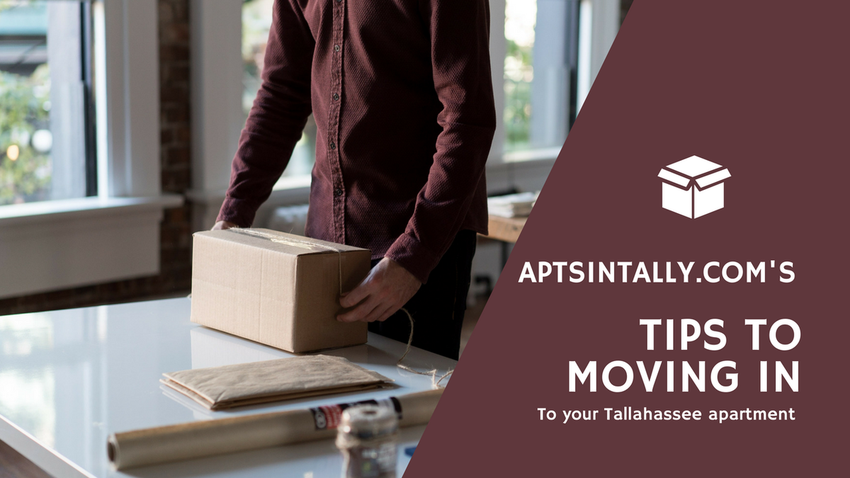 AptsInTally's tweet photo. Moving to Tallahassee soon? Check out our tips to make your move less stressful! https://t.co/25IChuL1cg #Movein #apartment https://t.co/J6Y2Xk7fJQ