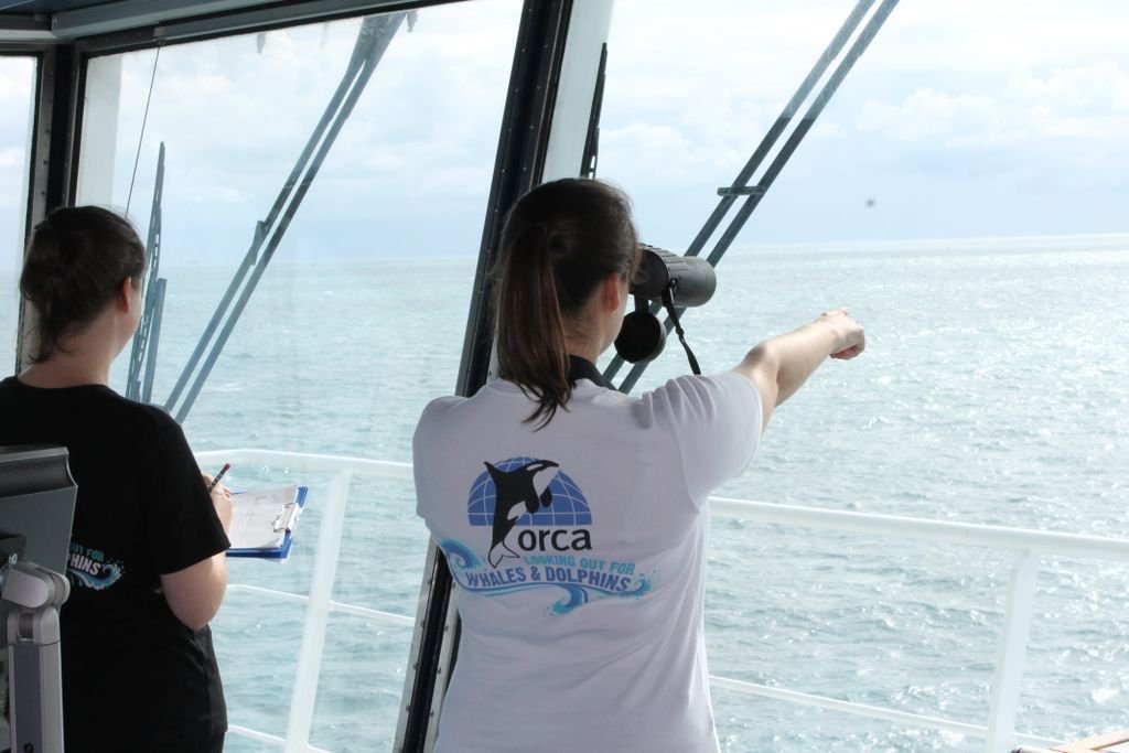 Scottish Association for Marine Science tweet media