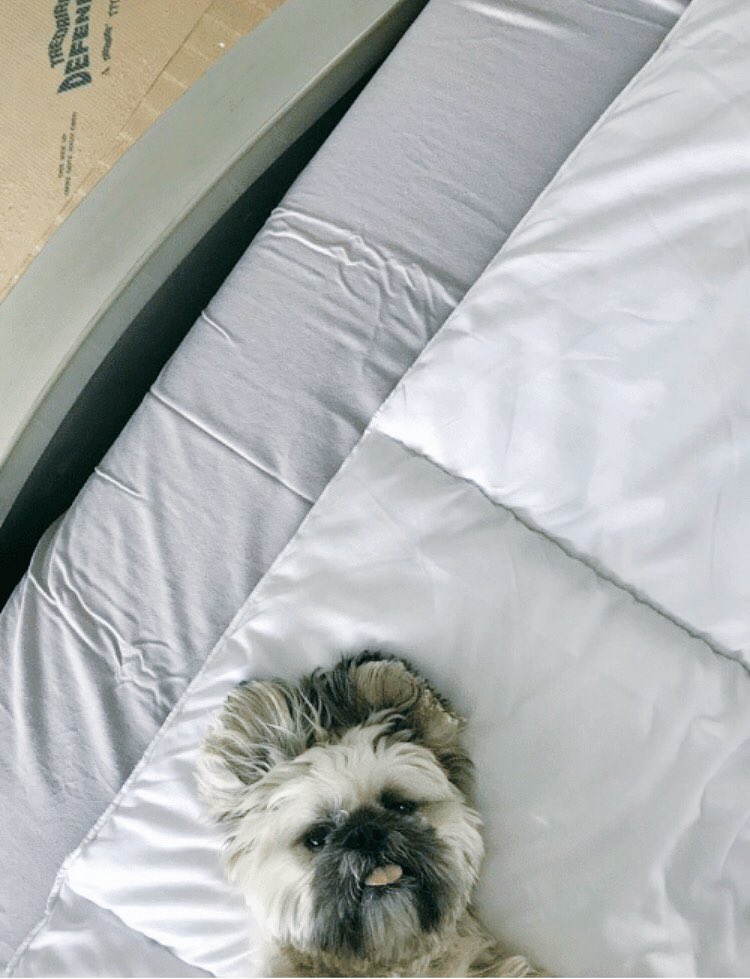 TheRealBDF's tweet image. Open for a surprise