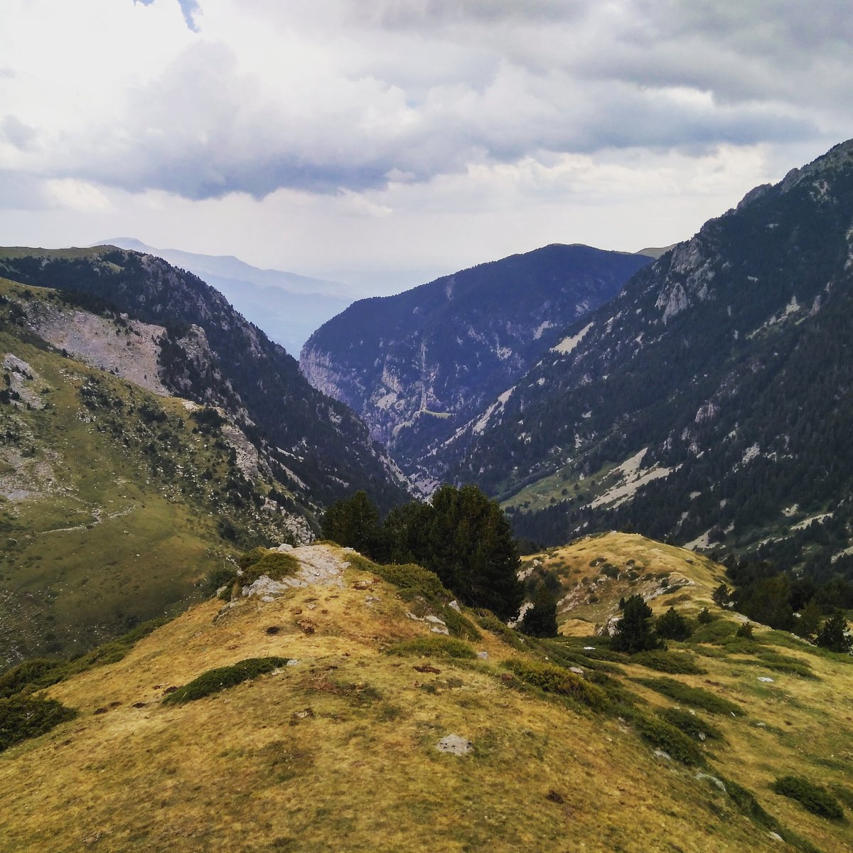 rqbmazul's tweet photo. Enginyeria d'alta muntanya #Pirineus2017 #PrimeraPart #Cerdanya https://t.co/5lwA5vFg5a