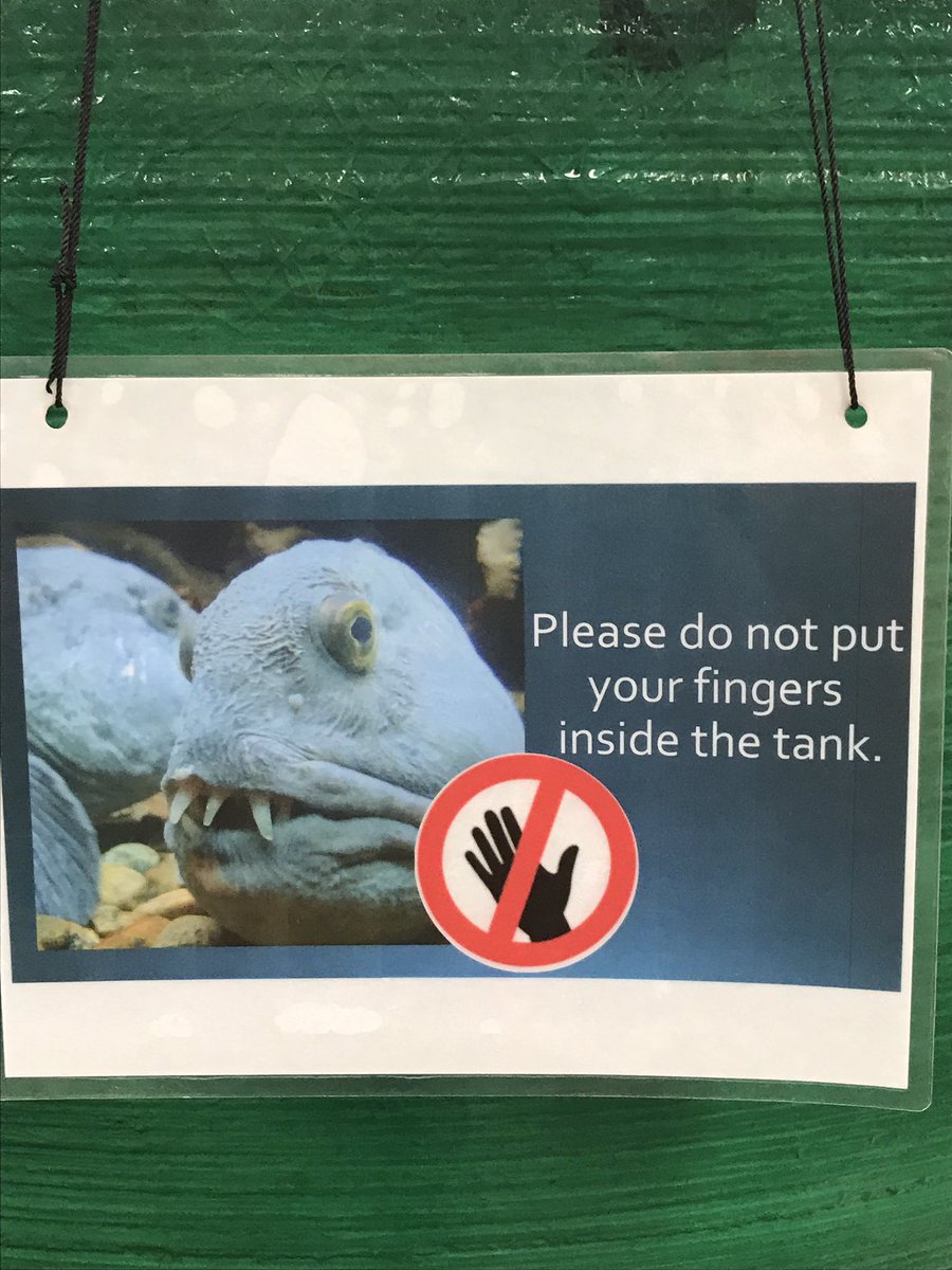 ByHeatherGD's tweet photo. Things you don't have to tell me twice. #fishteeth #nope @NLtweets https://t.co/ZCTR0Z1pbU