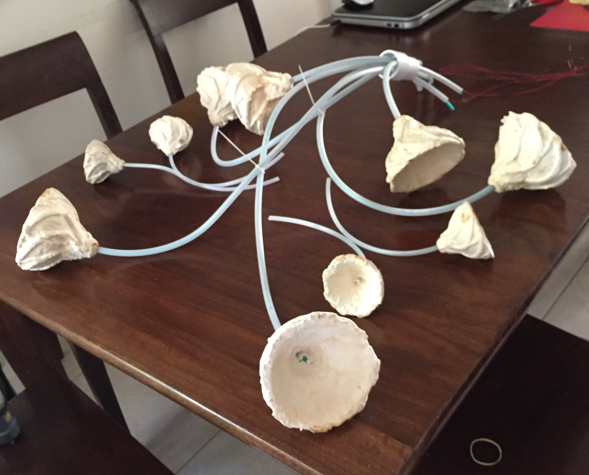 Wiring up fungus light shades 4 mycelium chandelier. 3D printing assembly parts for the next few days w/ <a href="/Algix3D/">Algix 3D</a> algae filament. #biodesign