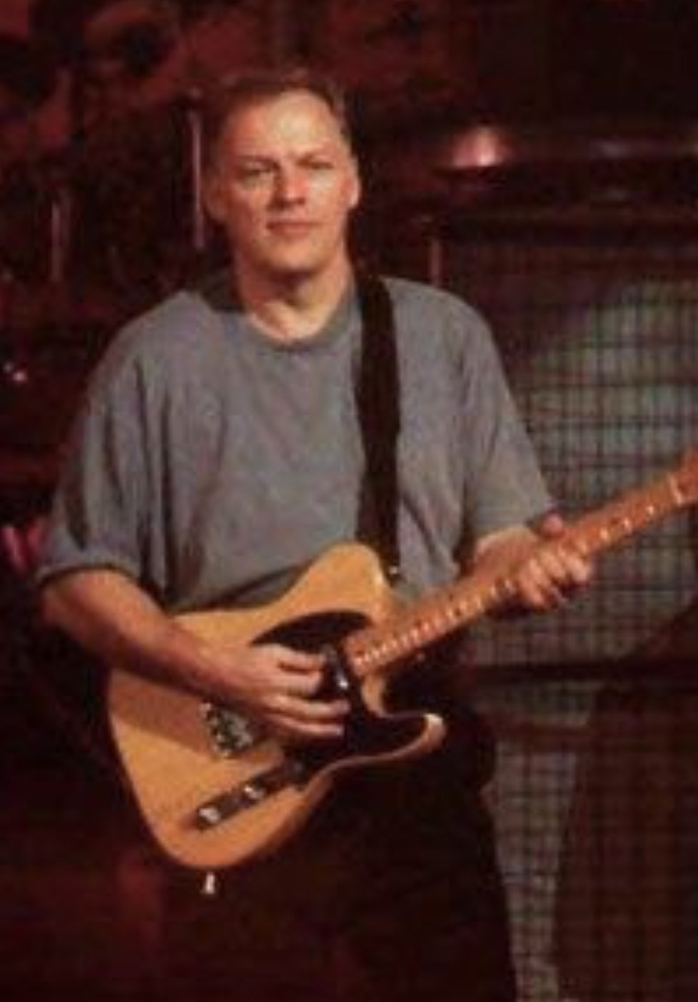 David gilmour telecaster deals